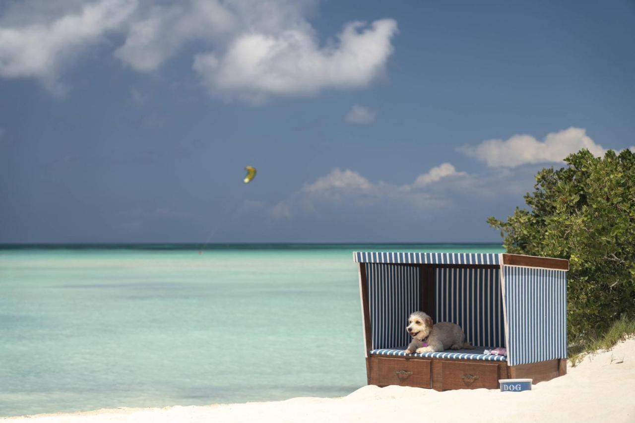 The Ritz-Carlton, Aruba Hotel Palm Beach Exterior photo